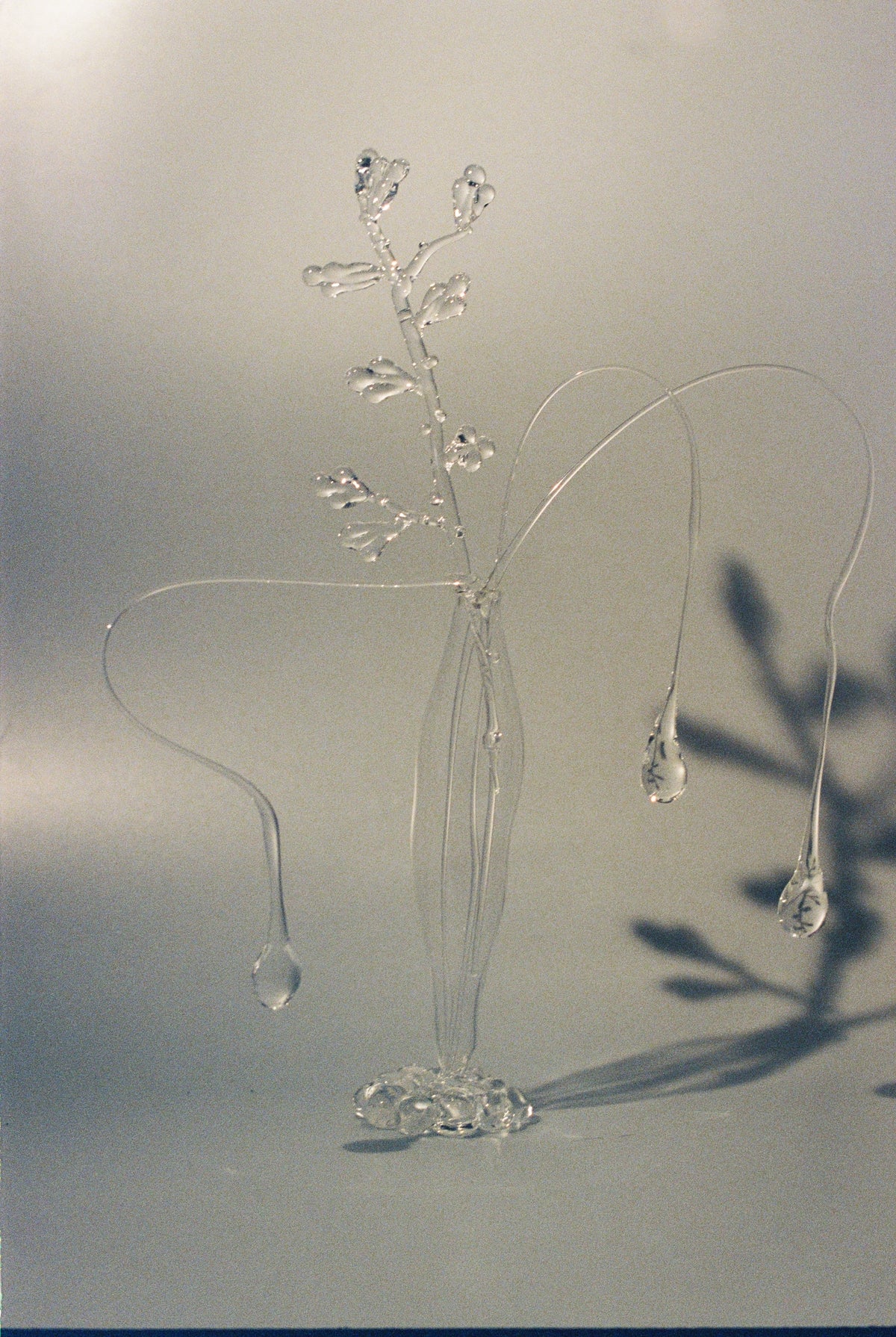 A Still life of Movement