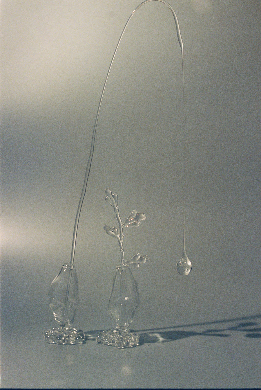 A Still life of Movement