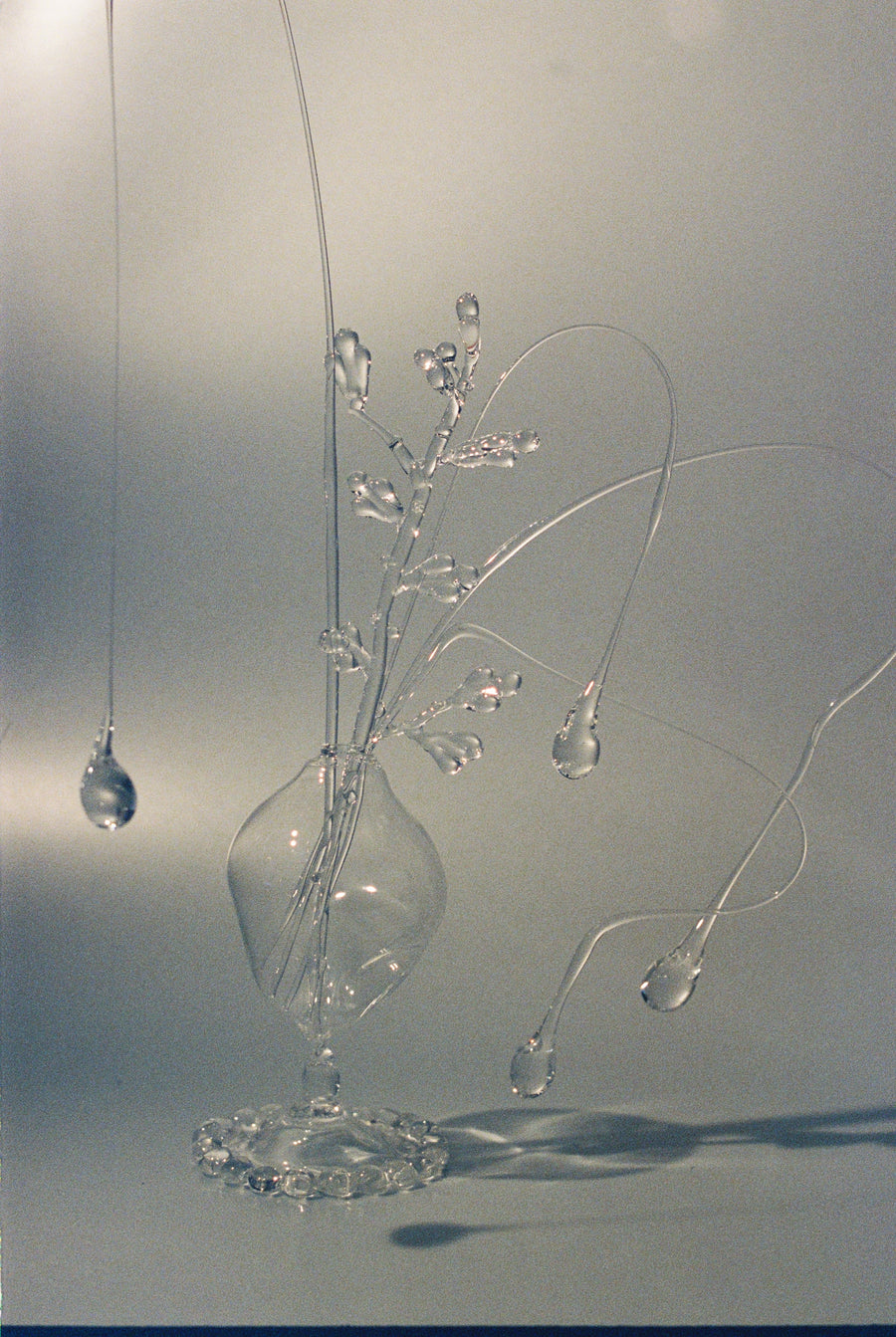 A Still life of Movement