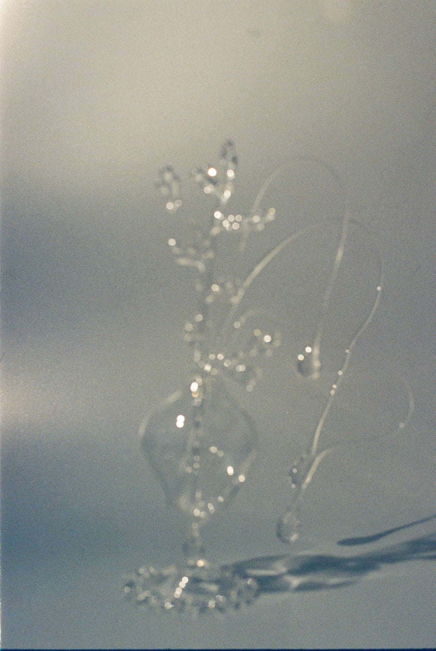 A Still life of Movement