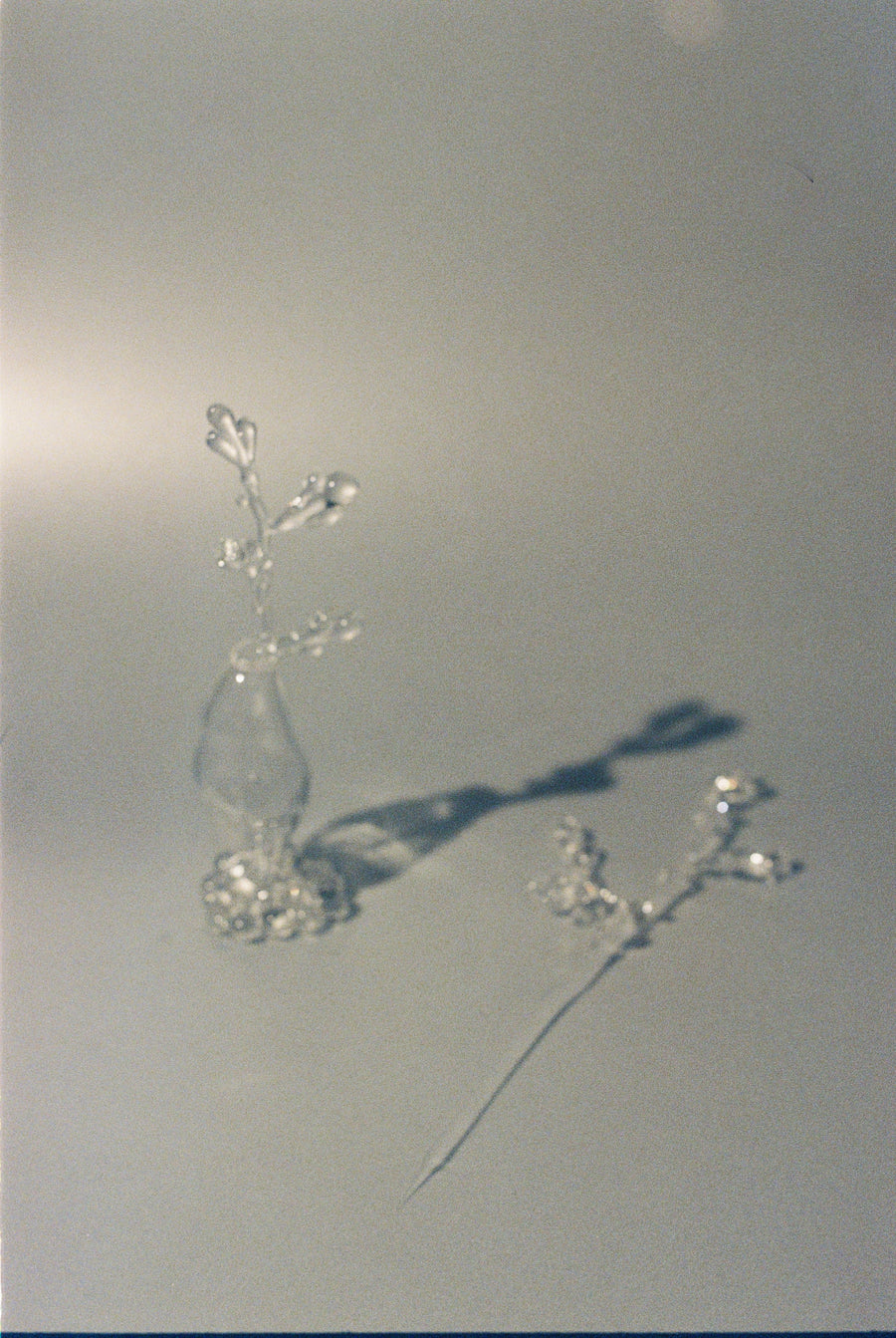 A Still life of Movement