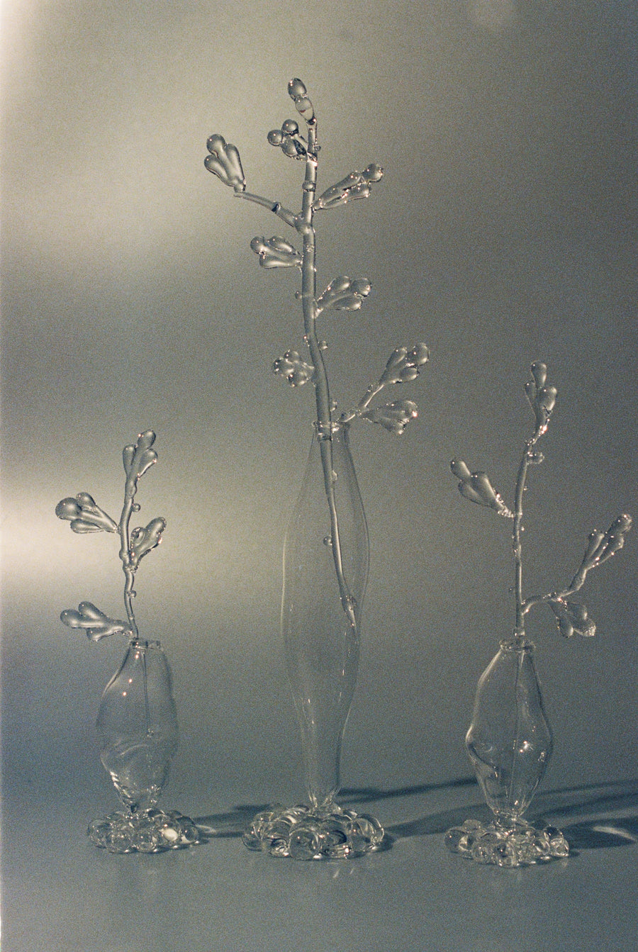 A Still life of Movement
