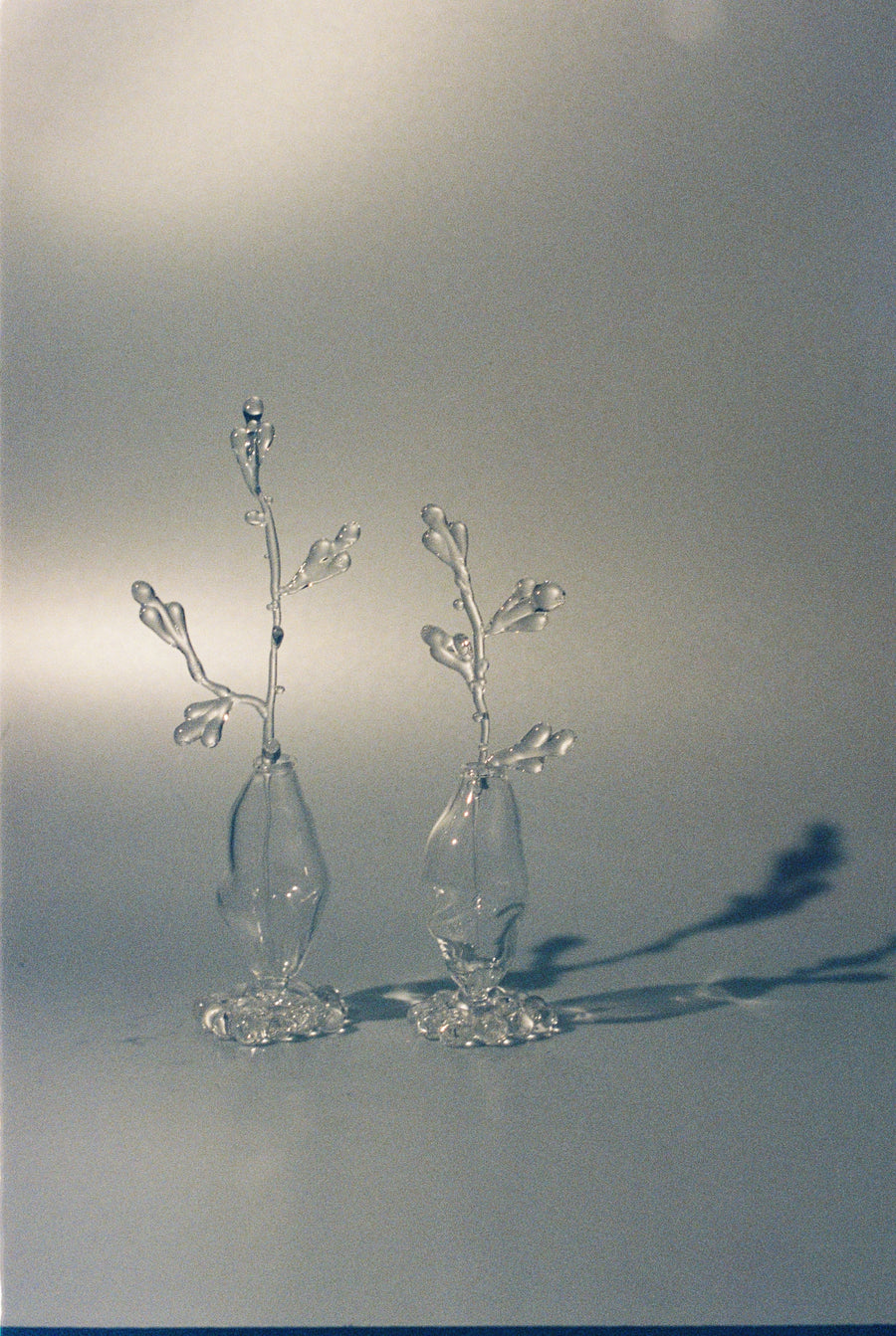 A Still life of Movement